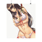 Queen's Blade Matte Poster