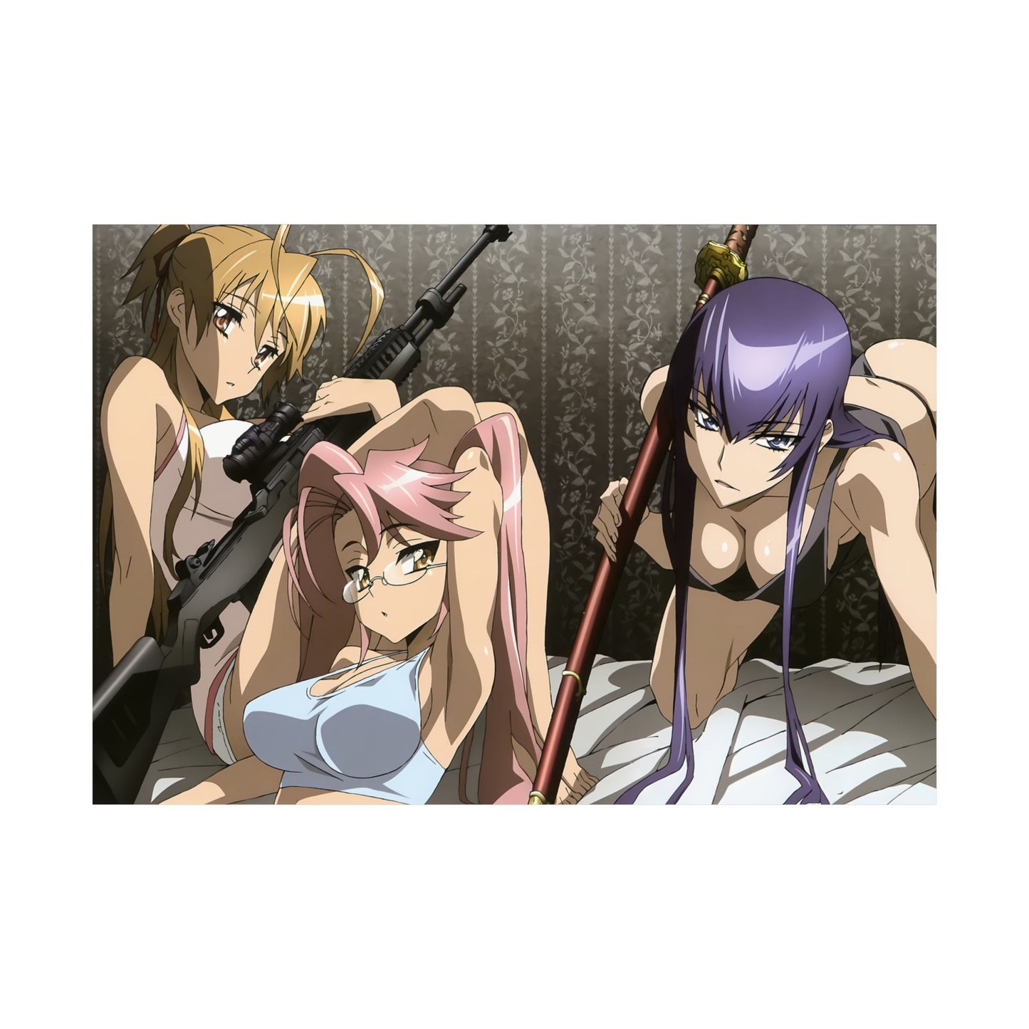 Highschool of the Dead Matte Poster