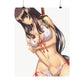 Queen's Blade Matte Poster